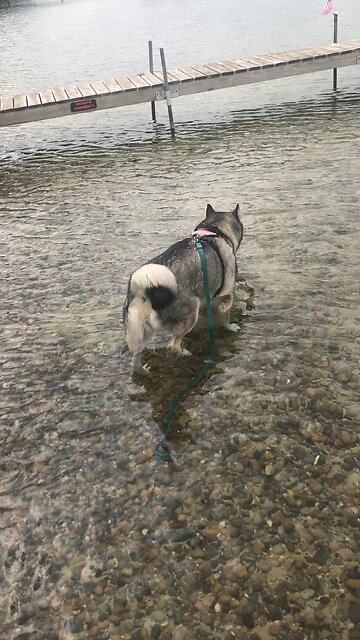 Monday September 8, A river flowed from the land of Eden.