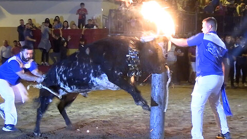 2025 10 24 ONDA FIRA D'ONDA