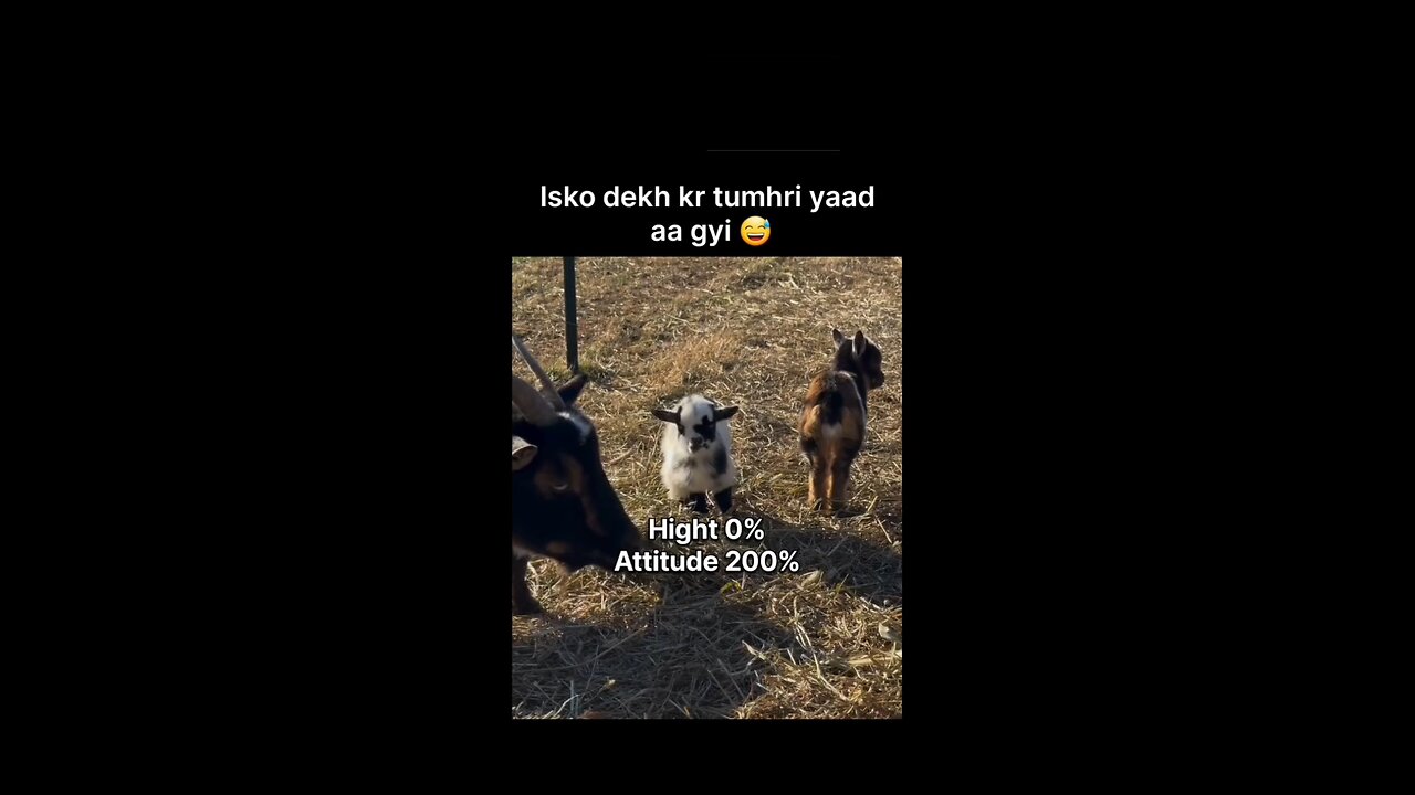 comment your favourite person