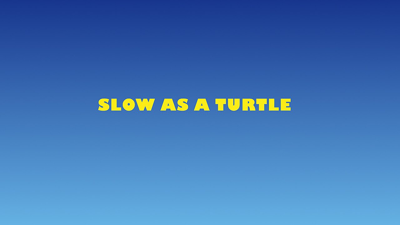 SLOW AS A TURTLE // David Anders