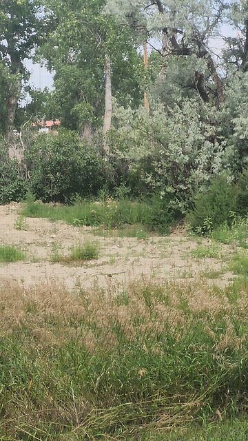 You Have No Rights...