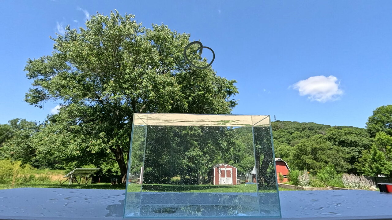 Slow Motion Toy Snake Drop / Splash