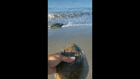 Tiny little fluke....