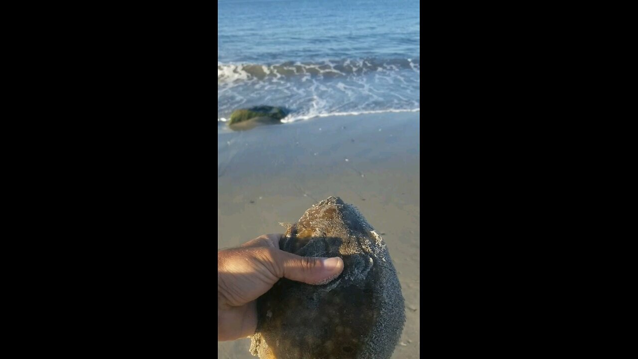Tiny little fluke....