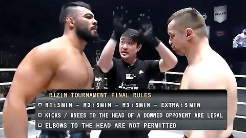 Amir Aliakbari (Iran) vs Mirko CRO COP Filipovic (Croatia) | KNOCKOUT, MMA fight
