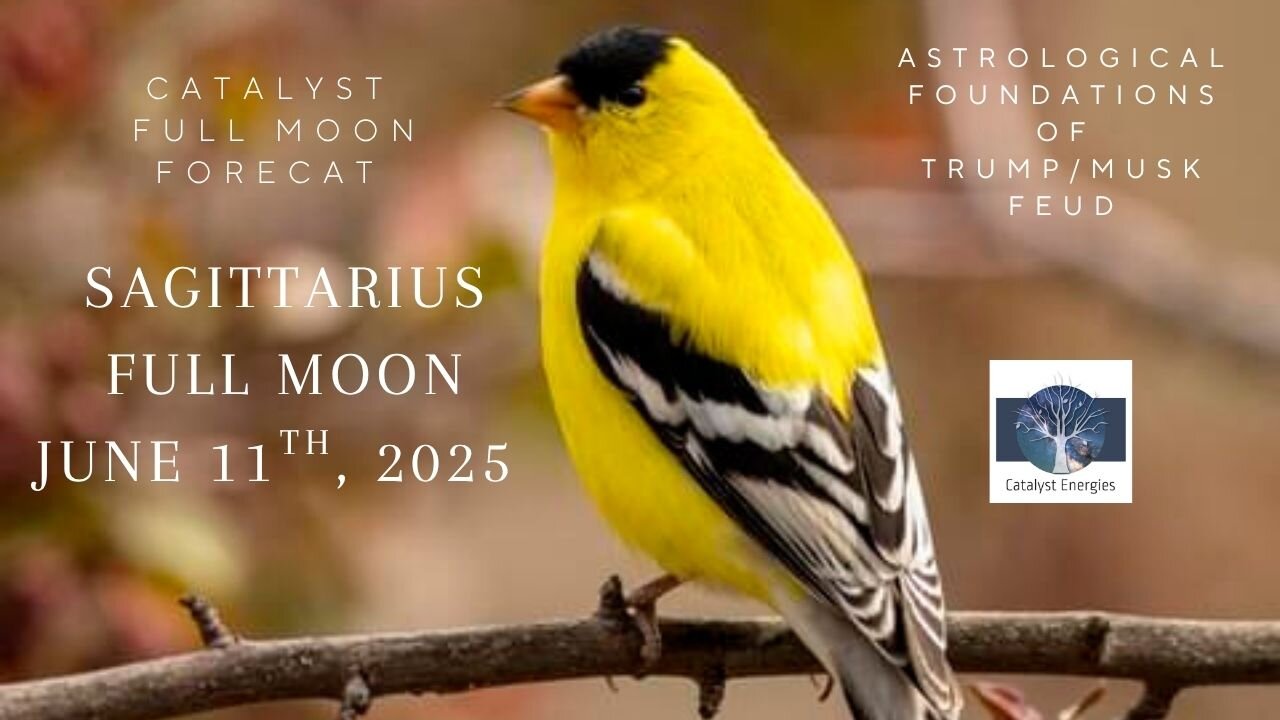 SAGITTARIUS Full Moon + Astro Foundations of Trump/Musk Feud: Catalyst Full Moon Forecast 6.11.2025