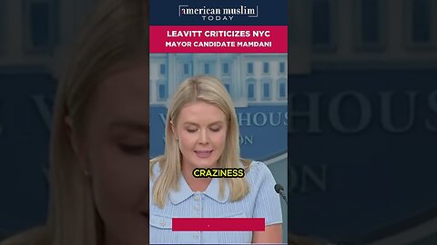 Leavitt criticizes NYC Mayor candidate Mamdani.