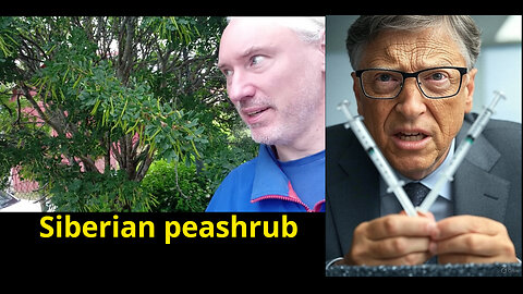 Iran stopped Israeli false flag in L.A.? AI*3. DMSO testimonies. GAVI defunded; Bill Gates angry