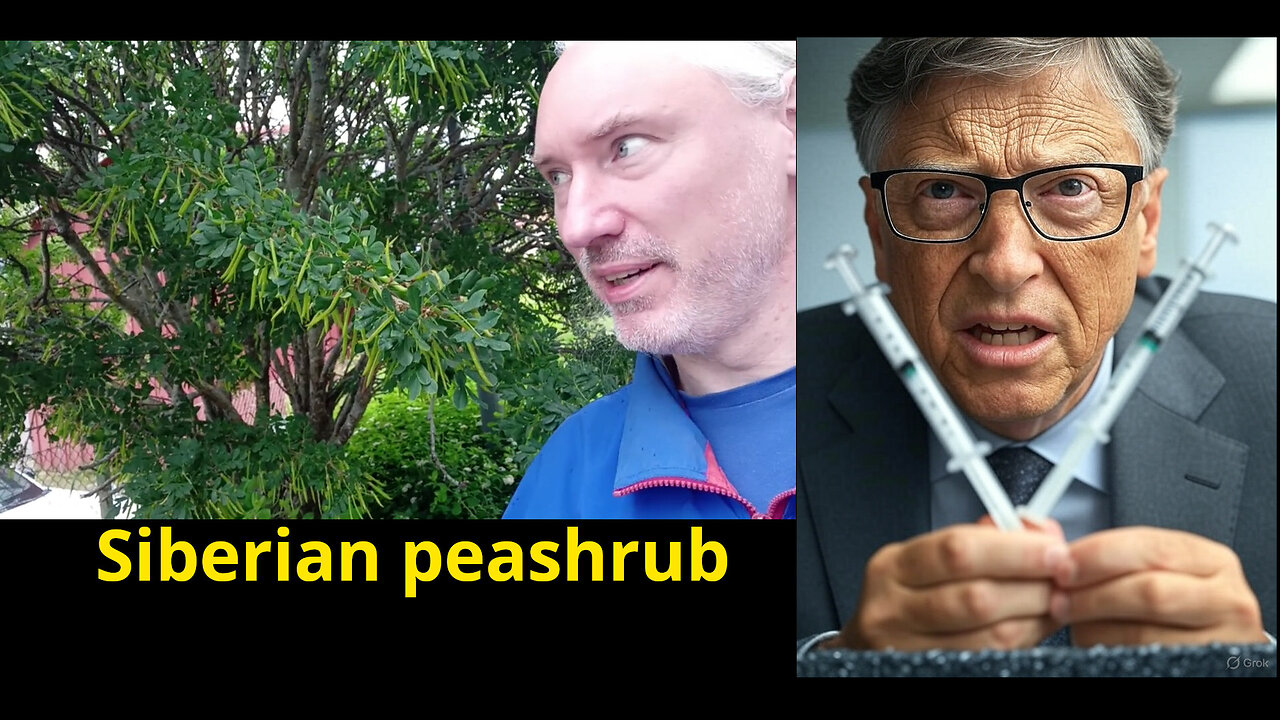 Iran stopped Israeli false flag in L.A.? AI*3. DMSO testimonies. GAVI defunded; Bill Gates angry