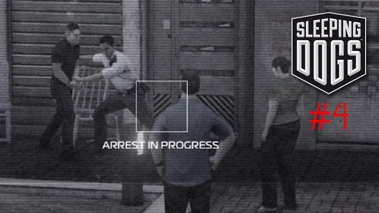 Sleeping Dogs - Drug Bust (4)