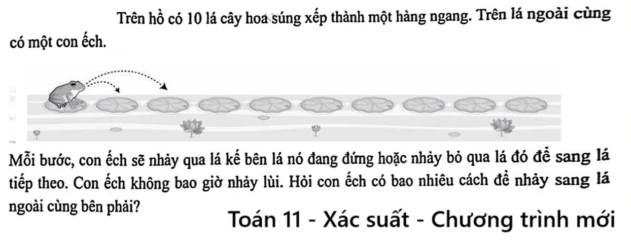 Trên hồ có 10 lá cây hoa súng xếp thành một hàng ngang. Trên lá ngoài cùng có một con ếch.