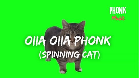 Oiia Oiia Spinning cat Music Remix slowed and Reverb music
