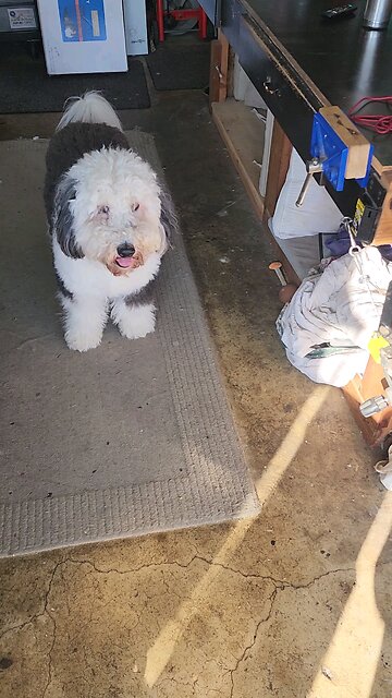 The day before Kevin