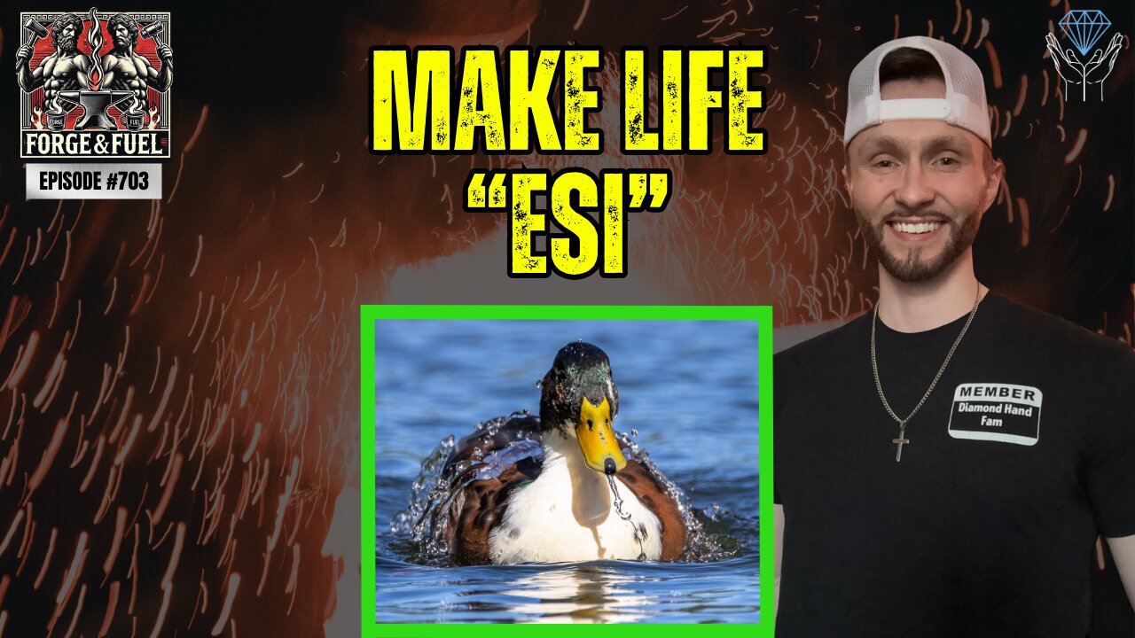 Make Your Life "ESI" | Forge & Fuel - Ep. #703