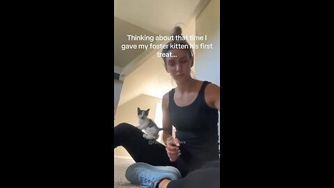 Funniest Animal Video