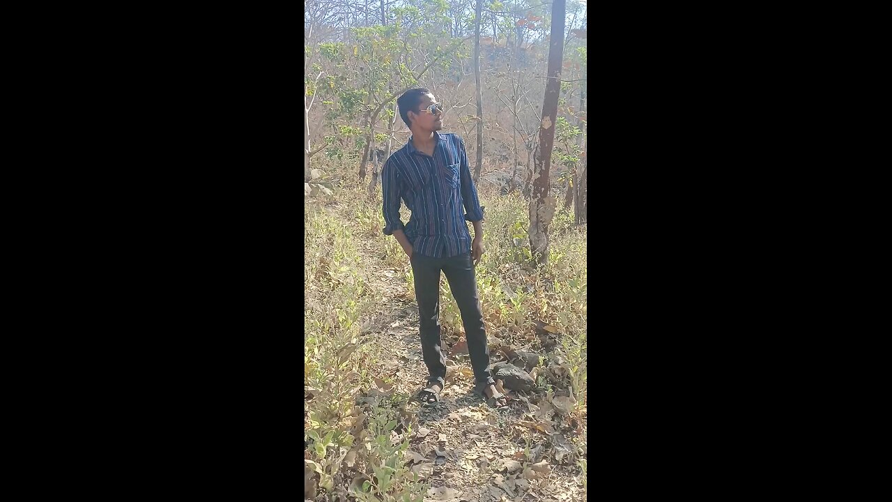 Sarkar Song