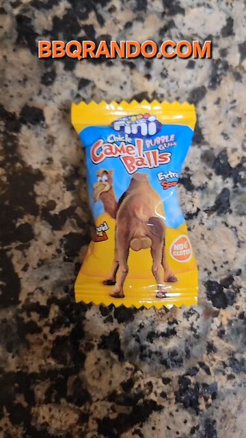 Have you ever chewed on camel 🐫 🤔 balls?