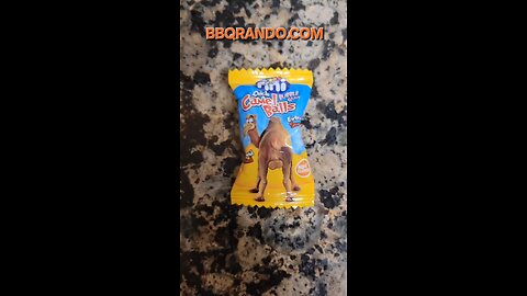 Have you ever chewed on camel 🐫 🤔 balls?