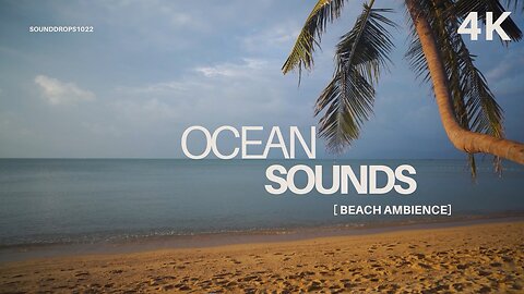 1 Hour of Relaxing Beach Ambience – Ocean Sounds for Sleep or Study
