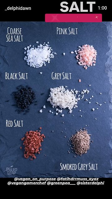 SALT - The ESSENTIAL Vegan Solution