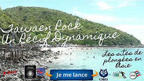 🌸 Plongée à Tawaen Rock Koh Larn, Pattaya, Un Récif Dynamique Près de la Plage Animée