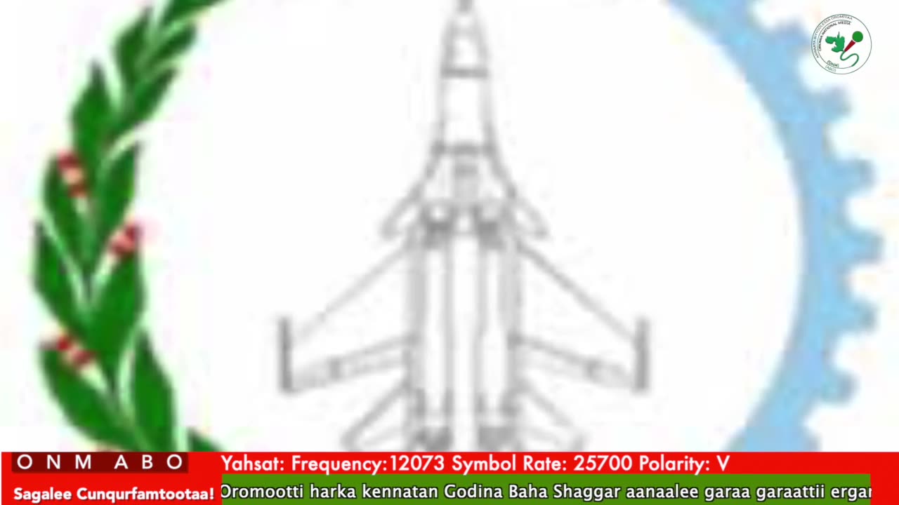 Oduu Waaree ONM-ABO Onkoloolessa 22-2025 itti dhiyaadhaa!