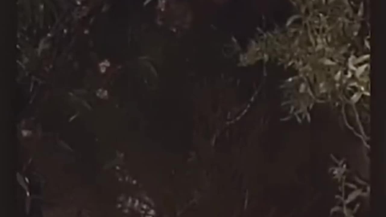 👻🔮 What's Really Summoned On The Ouija Board? Aliens, Jinn, Poltergeist? | TheHauntingHour