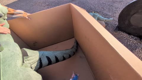 Matthias Dino Came...... #archery #hunting #dinosaur #countrylife #farmlife