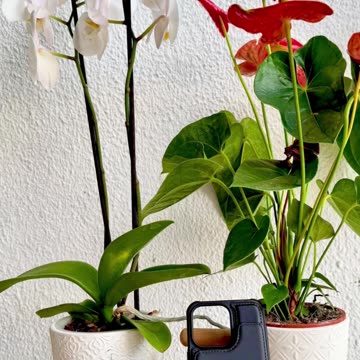 Callie Personalized Wallet and Phone Case