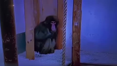 😂💥 He Didn't See That One Coming, And It's Hilarious! | FunFM