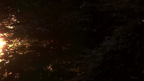 "Everything is hard before it is easy."