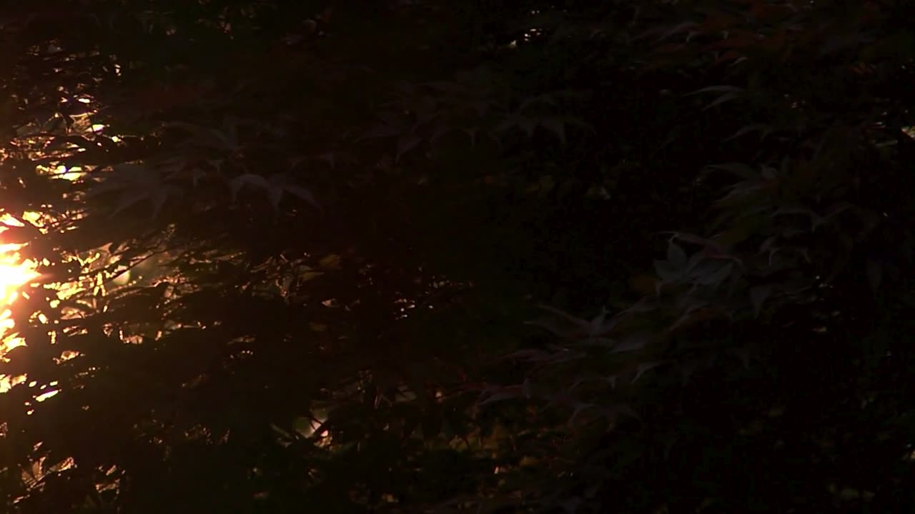 "Everything is hard before it is easy."