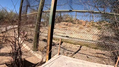 A Zoo in Hermosillo Sonora Mexico