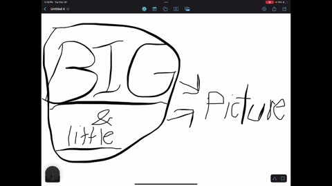 Big and little picture