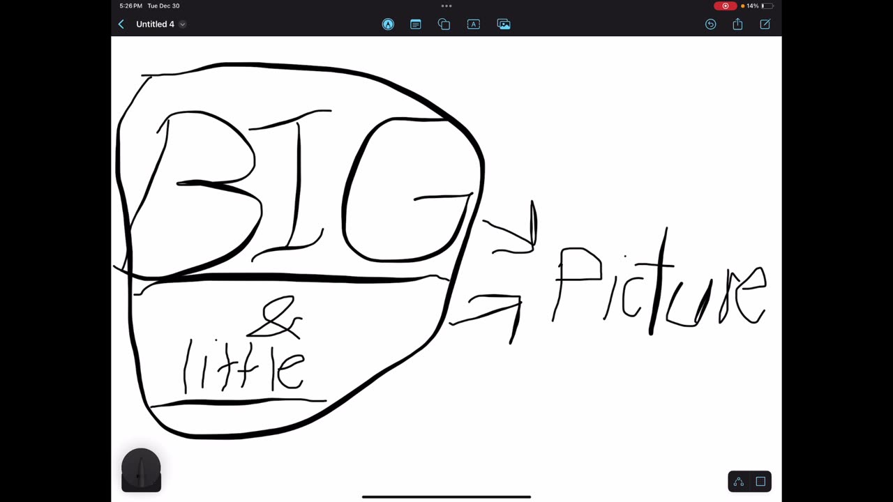 Big and little picture