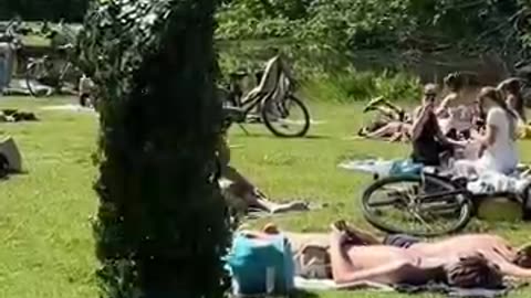 How to get a Free Beer!