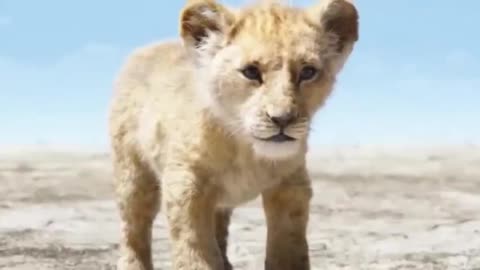 The Lion King (2020) in English Disney Animated Movie Reviews & Facts