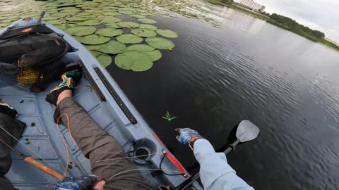 Fishing A Bass Popper Kit Fly