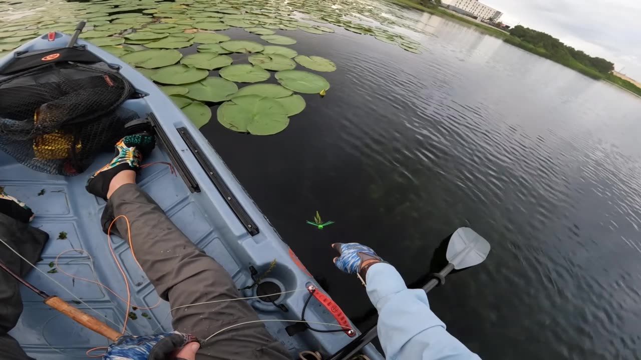 Fishing A Bass Popper Kit Fly