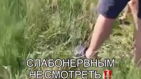 Fun in Russia