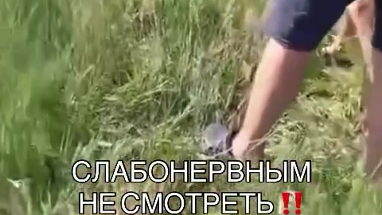Fun in Russia
