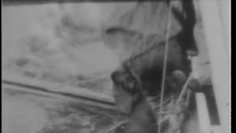 [UNIVERSAL NEWSREEL EXCERPTS] - [UNIVERSAL NEWSREEL EXCERPTS] - cbs-cbswwi-470