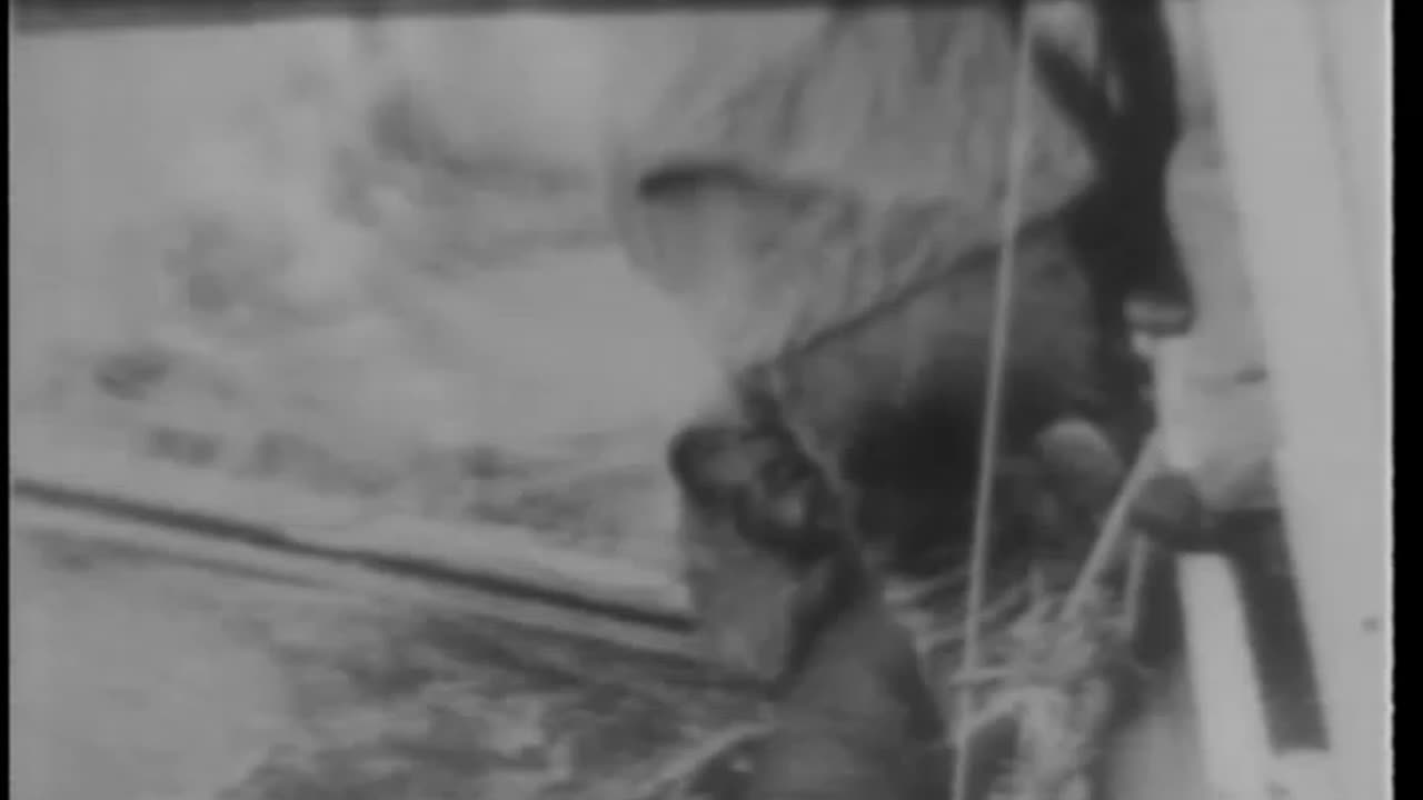 [UNIVERSAL NEWSREEL EXCERPTS] - [UNIVERSAL NEWSREEL EXCERPTS] - cbs-cbswwi-470