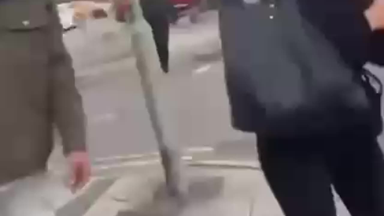 UK: A demonstration of the Coudenhove Kalergi importee mating technique..