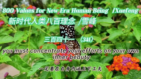 800 Values for New Era Human Being（341）