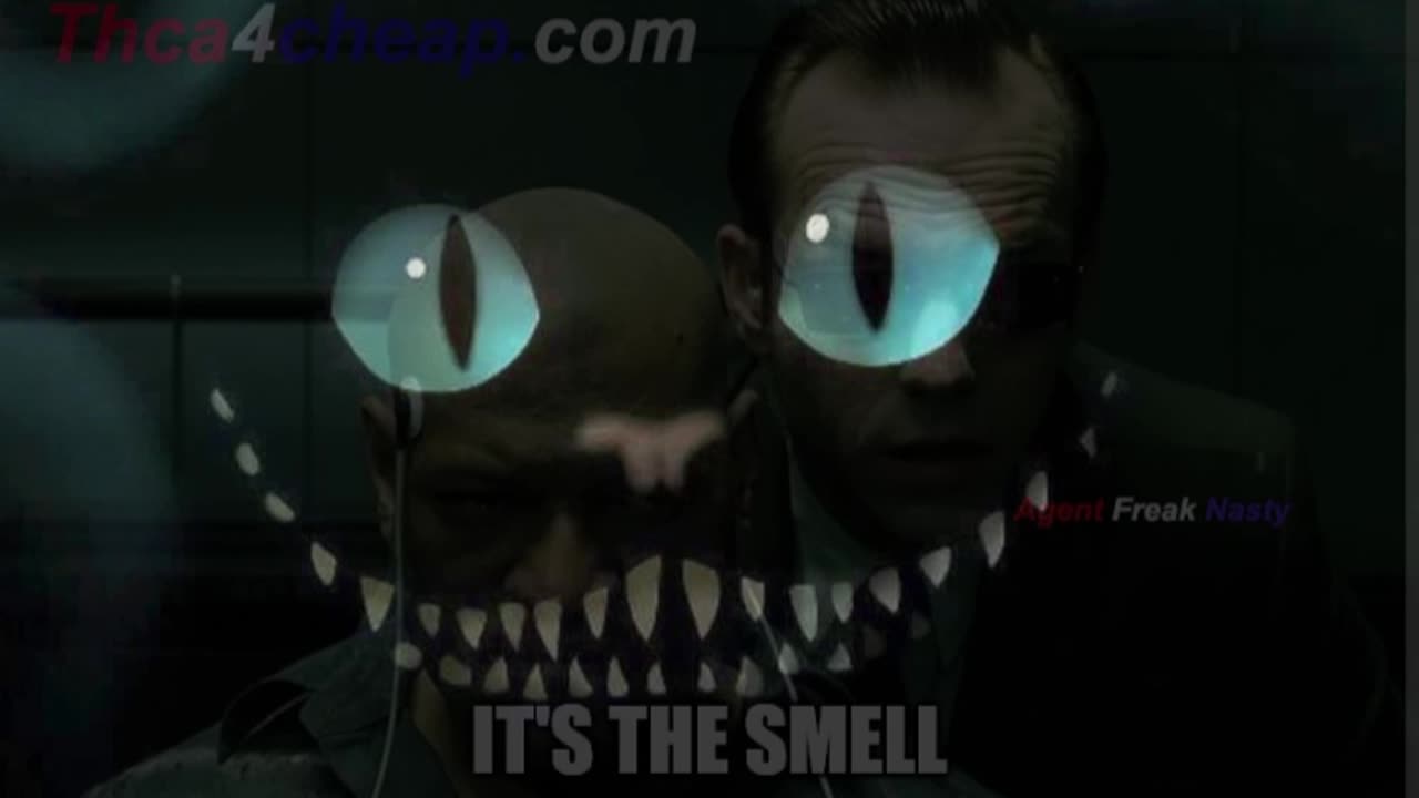 Say My Name