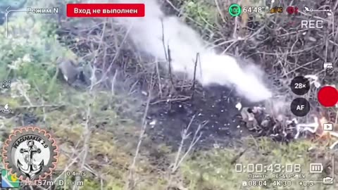 Ukraine war combat footage /related 11/13/2025