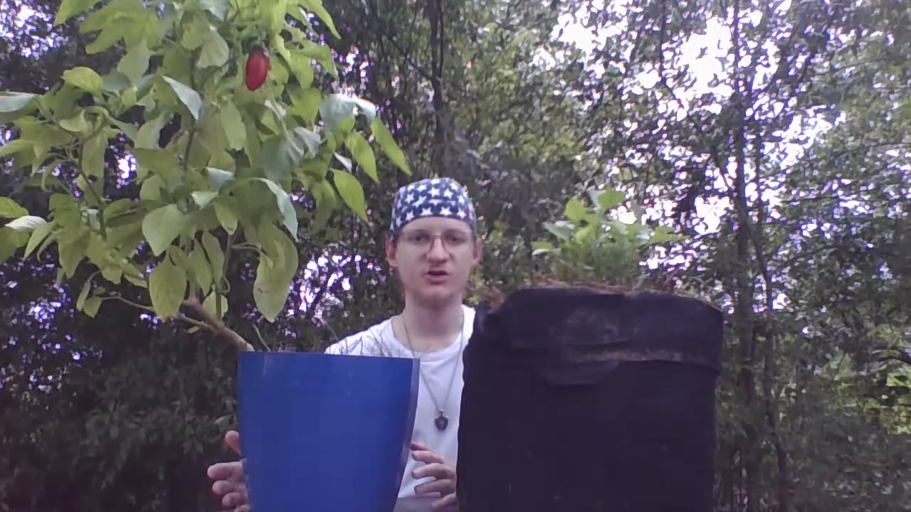 The simple way to grow bell peppers.