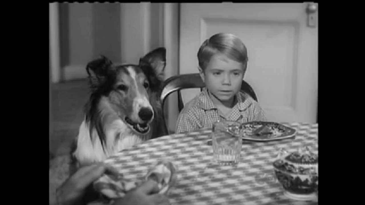 Lassie - Episode 123 - 'The Ring'