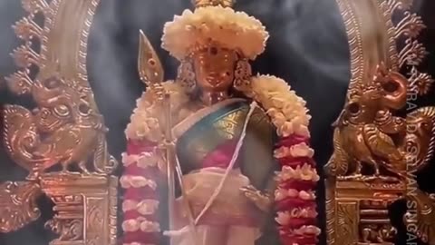 ஆடும் பரிவேல் முருகா TMS LEGEND M.THIRAVIDA SELVAN SINGAPORE TMS FANS 2025